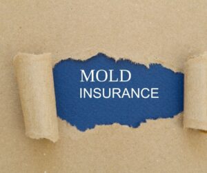 mold_insurance